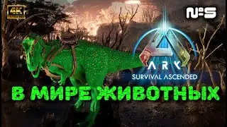 ARK: Survival Ascended #5 Asterios feat Extinction. Открываю посылки из космоса.