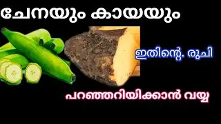 സദ്യ സ്പെഷ്യൽ കുറുക്ക് കാളൻ, സൂപ്പർ ടേസ്റ്റിൽ| Sadhya Style Kurukk Kaalan | #anasmonuvlog