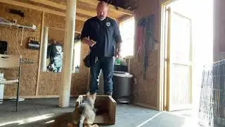 BEGINNING STEPS OF HARD SURFACE TRACKING: TARGET POINTING WITH CONFLICT MANAGEMENT.....