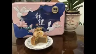 Moon cake reviews