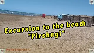 Excursion to the beach 