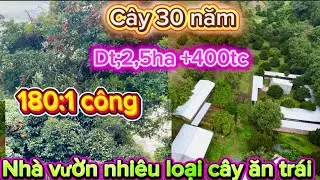 Vườn cây ăn trái nguồn thu nhập ổn định 250tr  1 năm