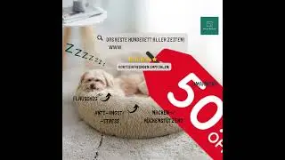 Das beste Hundebett aller Zeiten!