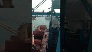 Unloading the Cargo from the vessel with shipunloader