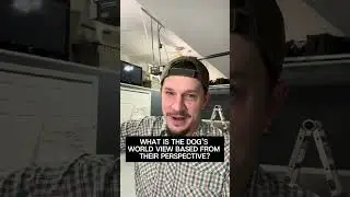 Каждое взаимодействие &mdash; это тренировка (независимо от того, хотите вы этого или нет).