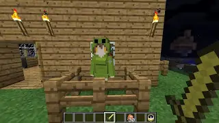 Minecraft GIRLS PULL FACES! Mob Talker Art!