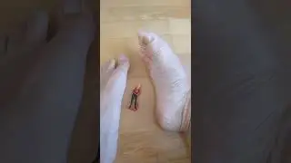 Crushing tiny girl #crushing #crushingtime #crushingthings #crushingasmr #giant #malefeet #malefoot