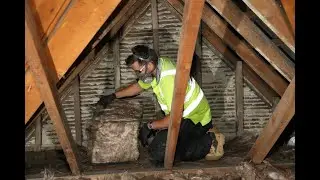 Loft insulation, insulation removal and boarding | Viridian