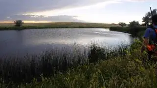 Duck Search Training