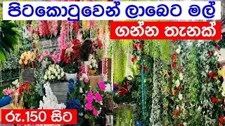 මල් වලට කැමති අයට | අඩුවට මල් ගන්න තැනක් බලනවද?💐🌸🌿