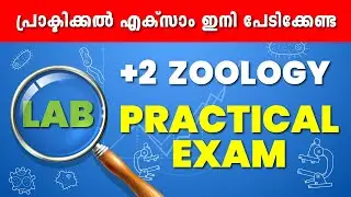 Plus Two Public Exam | +2 Lab Exam | Zoology Lab | Revision Class | Exam Winner