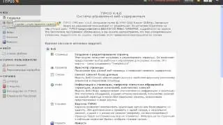 Создание страницы на typo3