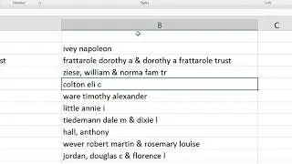 Lower Case Text Function on Excel