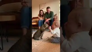 Кот бросил вызов малышу&hellip; Вы не поверите его реакции 😳🐱👶