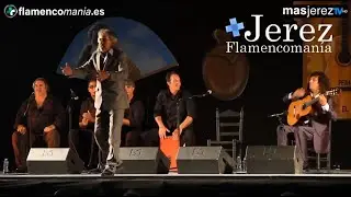 Flamencoman&iacute;a - #YoMeQuedoEnCasa - D&iacute;a 22 - San Miguel, territorio flamenco - 14 Abril 20