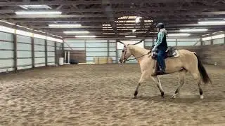 Maggie Schleppi - LL Frenchman’s Dakota - WDAA Intro 1
