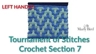 Tournament of Stitches Crochet Section 7  ||  Left Handed