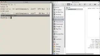 basic unix terminal commands