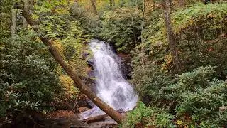 Log Hollow and Logging Road Falls, Pisgah National Forest, Brevard, NC