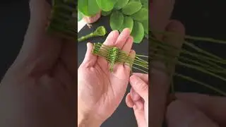 Leaf Spoon #youtubeshorts #shortvideo #shorts
