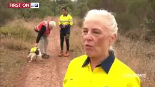Another Detection Dog First For Australia