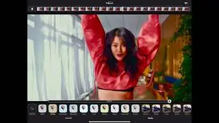 Oilbrush 3.0.0 - Introducing Oil Painting Filters for Video