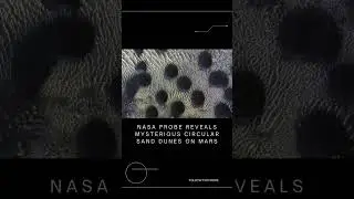 NASA PROBE REVEALS MYSTERIOUS CIRCULAR SAND DUNES ON MARS #shorts #astronomy #space #mars #nasa