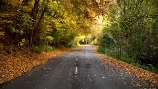 CopyRight Free -Road Trip[No Copyright Video]