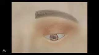 Brown smoky eyes with wing liner smudge ✨#beginners #trendy #eyemakeuptutorial #smooth #glowy