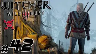 42) The Witcher 3: Wild Hunt PS4 Pro Playthrough | Bar Fighting Phantoms