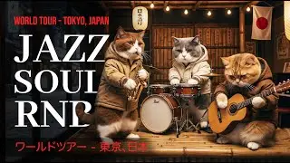 Warm Winter Jazz Soul RnB Instrumental for Stress Relief and Night Calm | Tokyo Tour | Jazz Meowlody