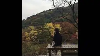 [FREE] Indie / Dream & Bedroom pop type beat - 'Autumn Romance'