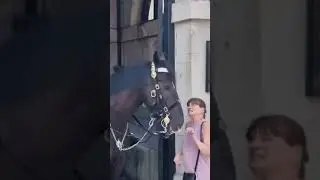 King's guard nods his head. It's ok for disabled lady to touch the  horse #thekingsguard