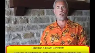 Body By Vi 90 Day Challenge -More Energy