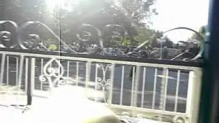 gardaland tazze
