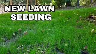 How to Seed A New Lawn in Fall