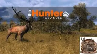 The Hunter Classic 9.3x74r ile Domuz Avı
