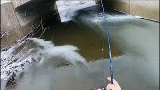 Bitter Cold Browns (BIG SURPRISE At End) #troutfishing #trout #fishing