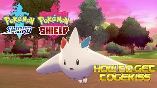 Pok&eacute;mon Sword and Shield - How to get Togekiss in the wild