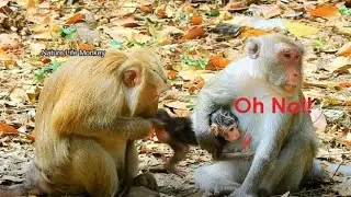 Baby Jody got big surprise grandma Teresa give strange love kiss on special area