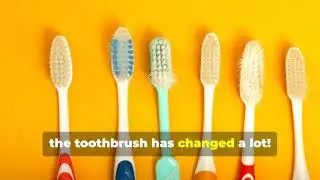 The History of the Toothbrush!