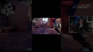 Assasine Timit  | timit