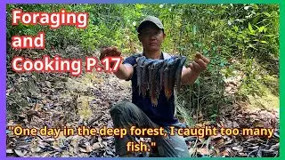 Foraging and cooking-P.17-|One day in the deep forest, I caught too many fish.|VinhSonTV