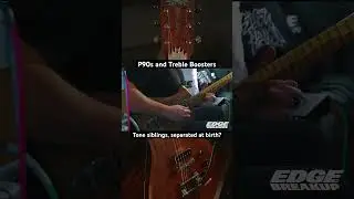 Would certainly explain a lot // #p90pickups #fuzz #fuzzpedal #fuzzrock #fuzzpedals #guitartone