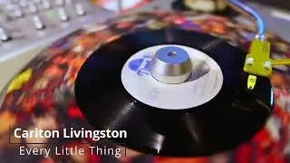 Carlton Livingston - Every Little Thing 【 Reggae Vinyl Records 】