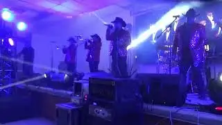 Real De Avino (en vivo) Un Mundo Raro