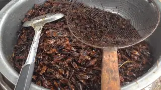 Street Food in Cambodia 2017 - Khmer Traditional Foods, Palm Seed, Dried Fish, Fish Balls #96
