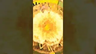 Freaky bob #funny #spongebob #cooledit #shorts