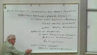 Lect 24 Intro: EPSPs and Synaptic Integration