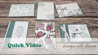 Quick Video - Petal Arrangements Cards